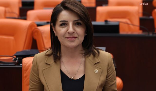 CHP'li Kış'tan "enflasyon" tepkisi!